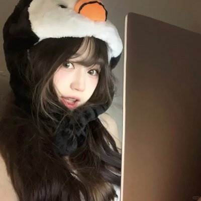 动物宝宝