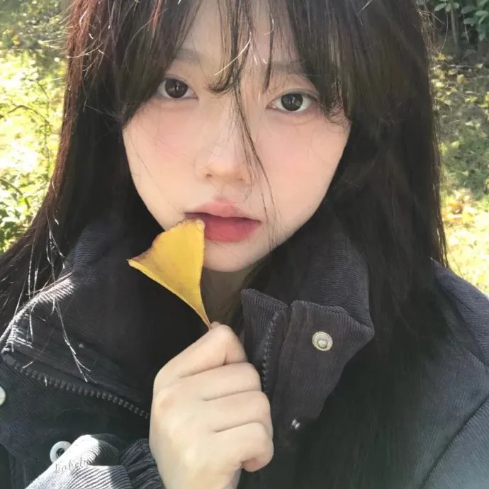 职业替身